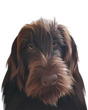 Load image into Gallery viewer, Illustration