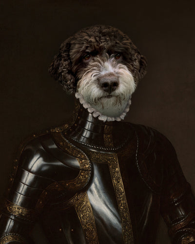 The Knight
