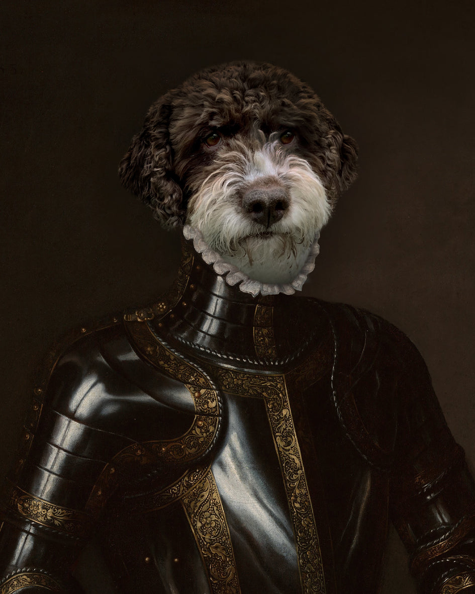 The Knight