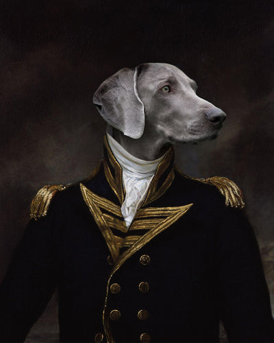 The Viscount