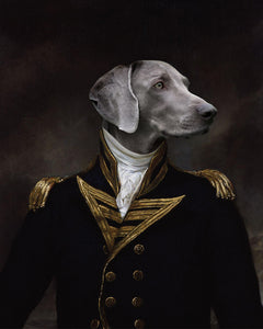 The Viscount