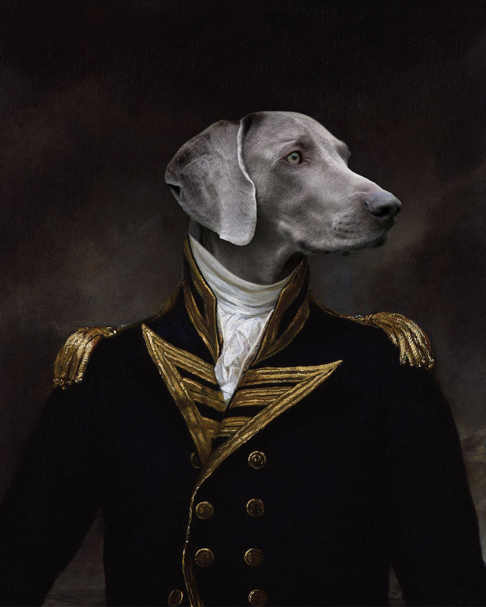 The Viscount