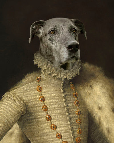 The Prince