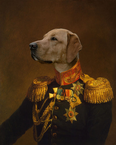 The Veteran