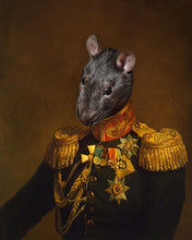 Load image into Gallery viewer, The Veteran